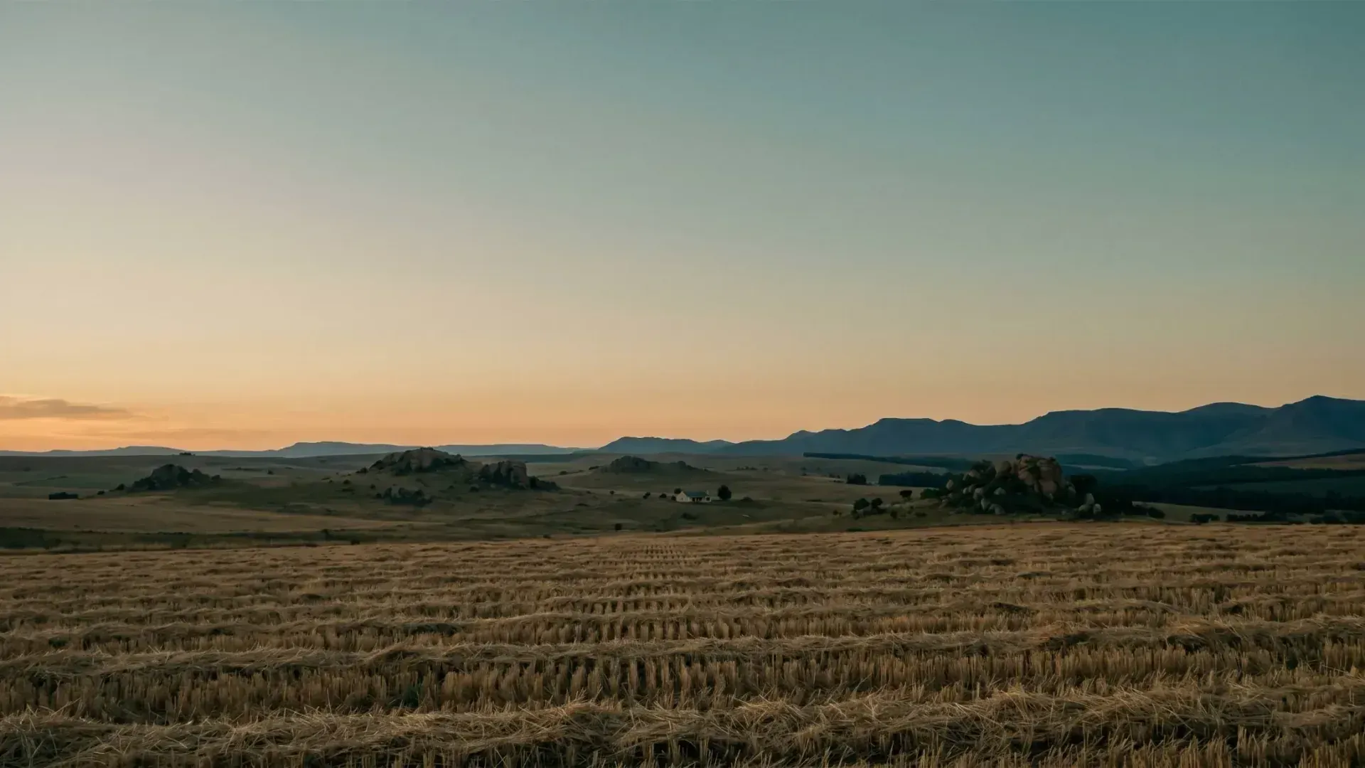 Panoramic view of the Free State high veld at dusk